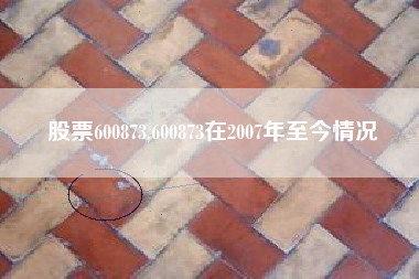 股票600873,600873在2007年至今情况