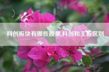 科创板块有哪些股票,科创和主板区别