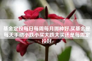 基金定投每日每周每月哪种好,买基金是每天手动小跌小买大跌大买还是每周定投好