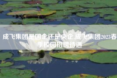 成飞集团是国企还是央企,成飞集团2023春季校园招聘待遇