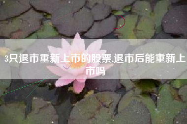 3只退市重新上市的股票,退市后能重新上市吗
