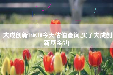 详细阅读:大成创新160910今天估值查询,买了大成创新基金5年 大成创新160910今天估值查询,买了大成创新基金5年
