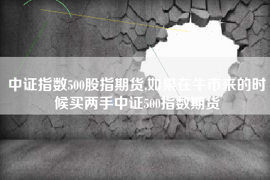 中证指数500股指期货,如果在牛市来的时候买两手中证500指数期货
