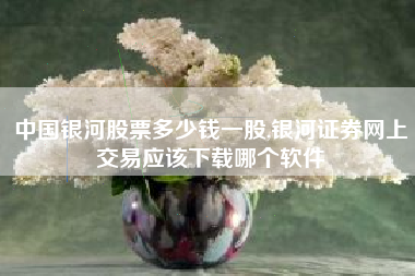中国银河股票多少钱一股,银河证券网上交易应该下载哪个软件