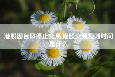 港股因台风停止交易,港股交易规则时间是什么