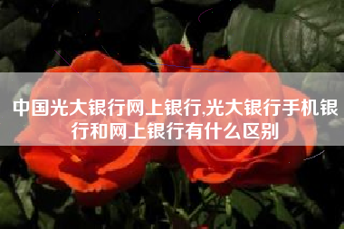 中国光大银行网上银行,光大银行手机银行和网上银行有什么区别