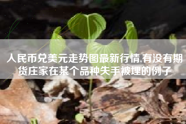 人民币兑美元走势图最新行情,有没有期货庄家在某个品种失手被埋的例子