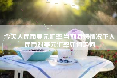 今天人民币美元汇率,当前特殊情况下人民币对美元汇率如何走向