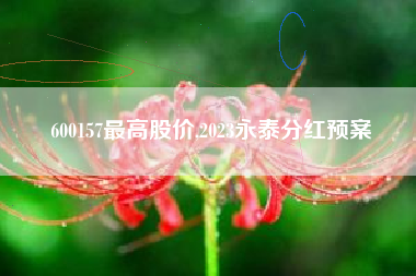 600157最高股价,2023永泰分红预案