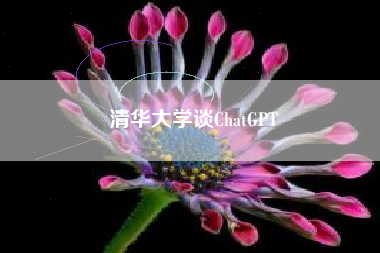 清华大学谈ChatGPT