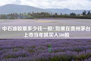 中石油股票多少钱一股?,如果在贵州茅台上市当年就买入500股
