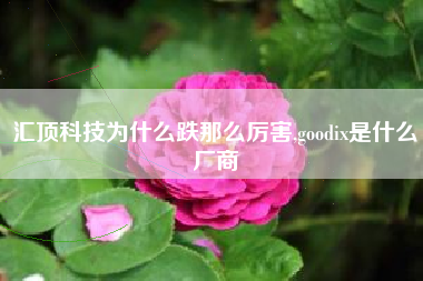 汇顶科技为什么跌那么厉害,goodix是什么厂商