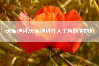 天源迪科,天源迪科在人工智能的地位