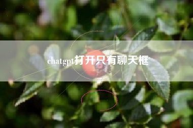 chatgpt打开只有聊天框