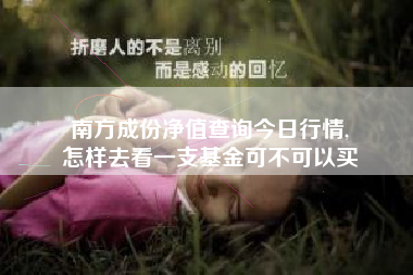 南方成份净值查询今日行情,
怎样去看一支基金可不可以买 南方成份净值查询今日行情,
怎样去看一支基金可不可以买