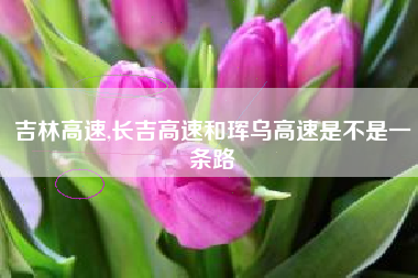 吉林高速,长吉高速和珲乌高速是不是一条路