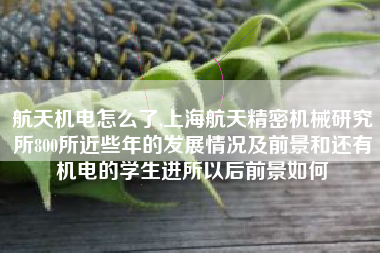 航天机电怎么了,上海航天精密机械研究所800所近些年的发展情况及前景和还有机电的学生进所以后前景如何