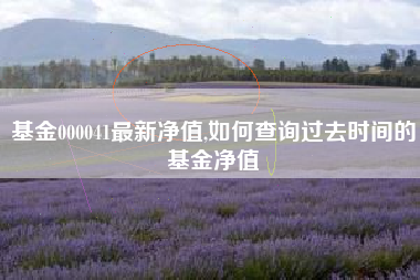 基金000041最新净值,如何查询过去时间的基金净值