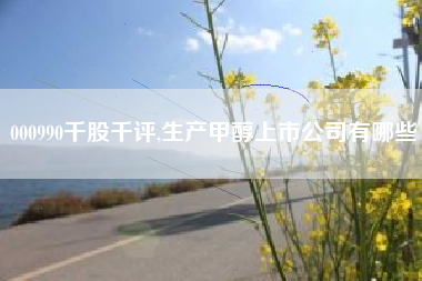 000990千股千评,生产甲醇上市公司有哪些