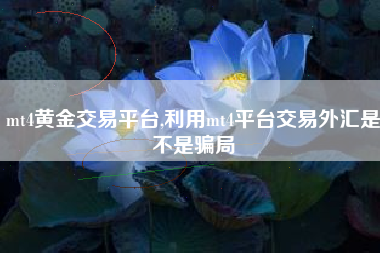 mt4黄金交易平台,利用mt4平台交易外汇是不是骗局