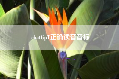chatGpT正确读音音标