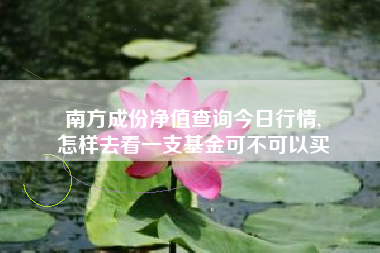 南方成份净值查询今日行情,
怎样去看一支基金可不可以买 南方成份净值查询今日行情,
怎样去看一支基金可不可以买