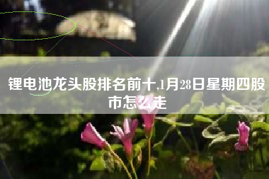 锂电池龙头股排名前十,1月28日星期四股市怎么走