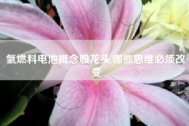 氢燃料电池概念股龙头,哪些思维必须改变