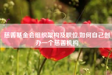 慈善基金会组织架构及职位,如何自己创办一个慈善机构