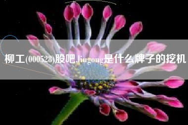 柳工(000528)股吧,liugong是什么牌子的挖机