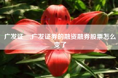 广发证劵,广发证券的融资融券股票怎么变了
