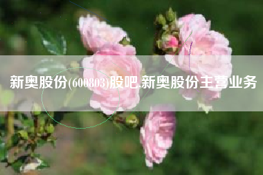 新奥股份(600803)股吧,新奥股份主营业务