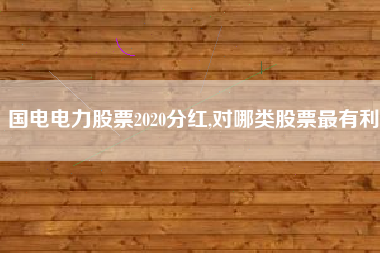 国电电力股票2020分红,对哪类股票最有利