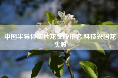 中国半导体芯片龙头股排名,科技兴国龙头股