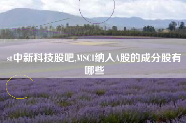 st中新科技股吧,MSCI纳入A股的成分股有哪些