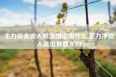 主力资金流入和流出说明什么,主力净流入流出有意义吗