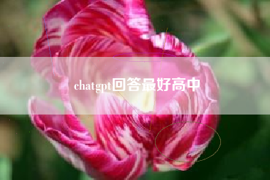 chatgpt回答最好高中