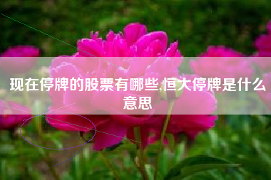 现在停牌的股票有哪些,恒大停牌是什么意思