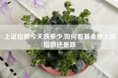 上证指数今天跌多少,如何看基金是上证指数还是跌