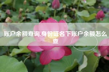 账户余额查询,身份证名下账户余额怎么查