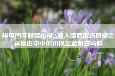 华电国际股票价格,A股入摩后市场风格会再度由中小创切换至蓝筹白马吗
