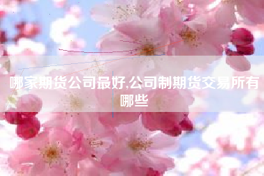 哪家期货公司最好,公司制期货交易所有哪些