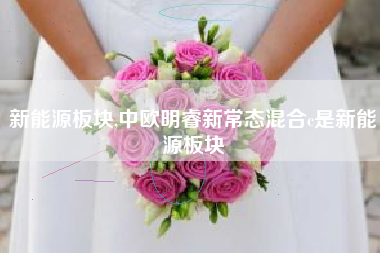 新能源板块,中欧明睿新常态混合c是新能源板块