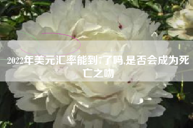 2022年美元汇率能到7了吗,是否会成为死亡之吻