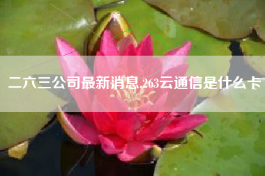二六三公司最新消息,263云通信是什么卡