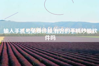 输入手机号免费诊股,有好的手机炒股软件吗