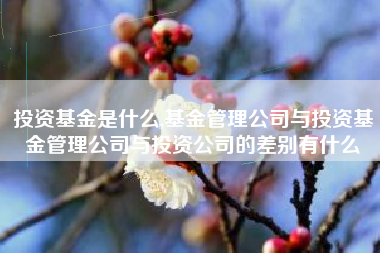 投资基金是什么,基金管理公司与投资基金管理公司与投资公司的差别有什么