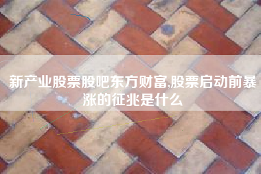 新产业股票股吧东方财富,股票启动前暴涨的征兆是什么