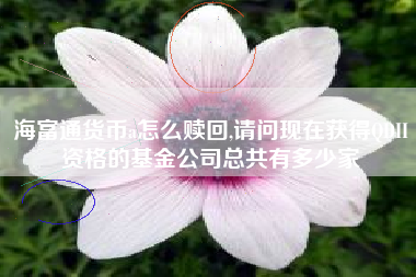 海富通货币a怎么赎回,请问现在获得QDII资格的基金公司总共有多少家