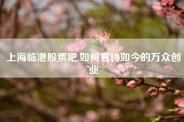 上海临港股票吧,如何看待如今的万众创业